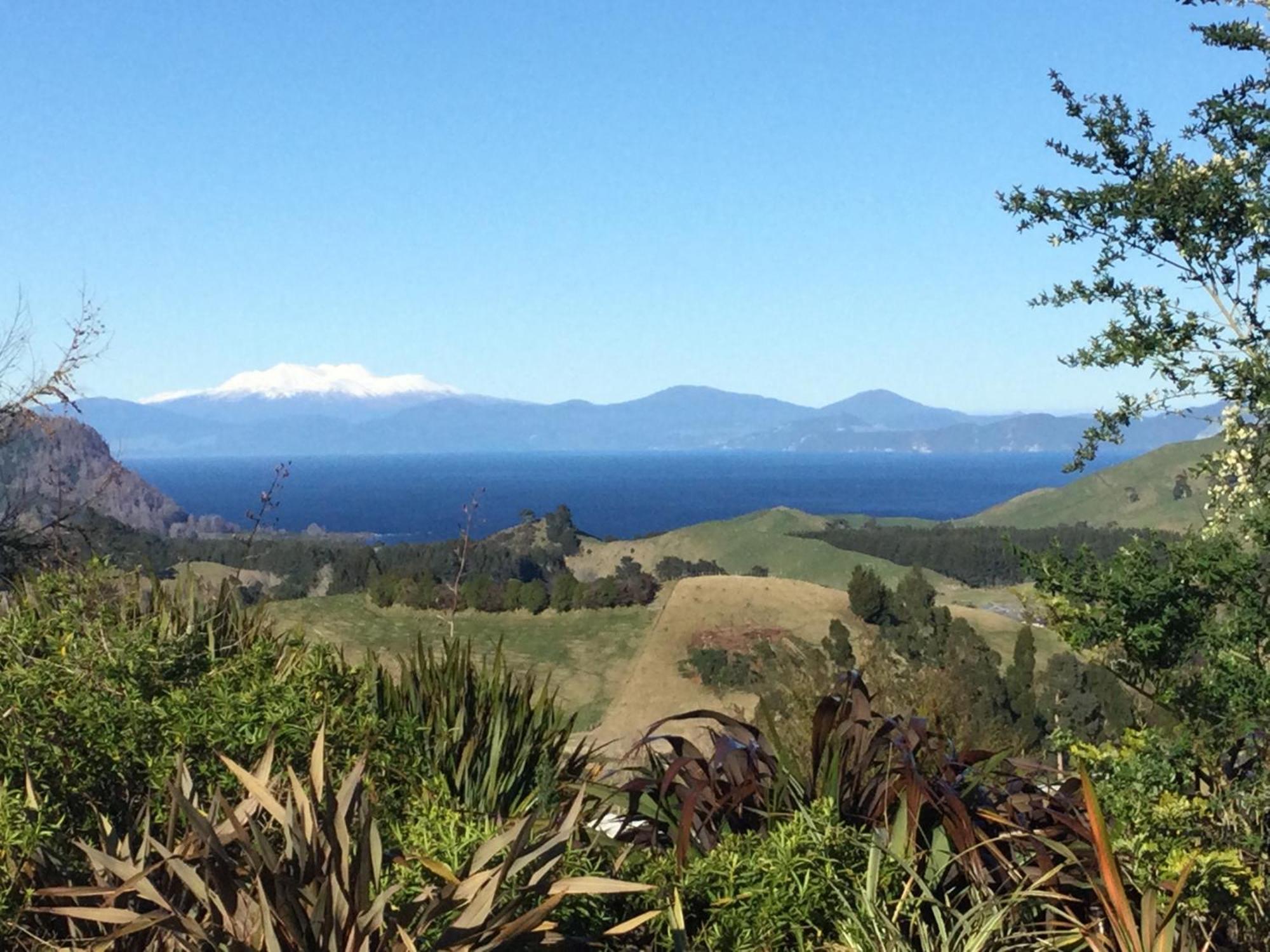 Whakaipo Bay Cabin Retreat Taupo Bagian luar foto